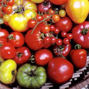 Heirloom Tomato Marinara Sauce Recipe Image